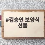 김승연 회장 보양식 선물 30억 사비 김승연 보양식 선물