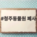 청주동물원 폐사 사자 바람이의 마지막 3년 이야기 청주동물원 폐사