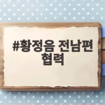 황정음 전남편 협력 육아 현명한 공동 양육 황정음 전남편 협력