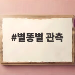 별똥별 관측 오늘 밤 10시부터 쏟아진다 별똥별 관측
