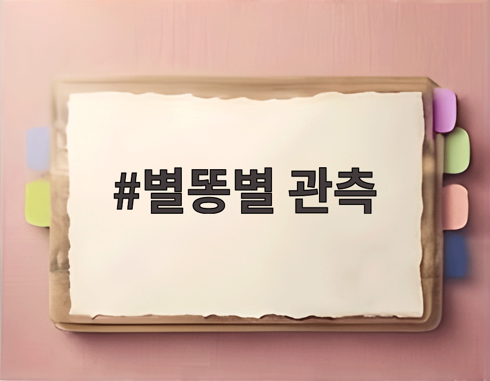 별똥별 관측