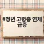 청년 고령층 연체 급증 빚투 후폭풍 신호 청년 고령층 연체 급증