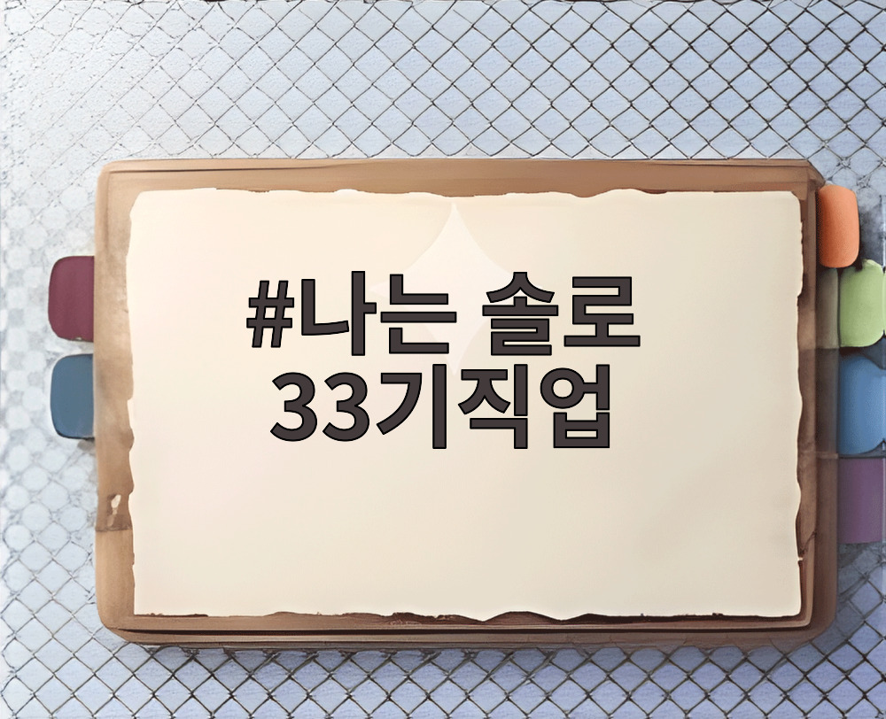 나는 솔로 33기직업