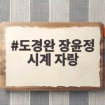 도경완 장윤정 시계 자랑 아내가 선물한 초고가 시계 컬렉션 도경완 장윤정 시계 자랑