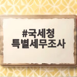 국세청 특별세무조사 KB국민은행 전격 착수 배경 국세청 특별세무조사