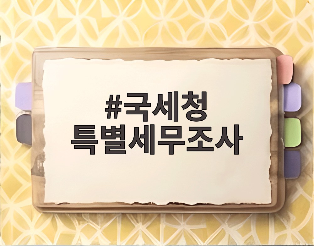 국세청 특별세무조사