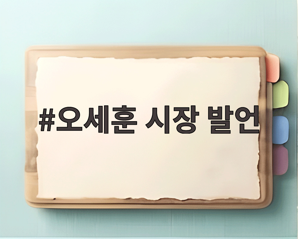 오세훈 시장 발언