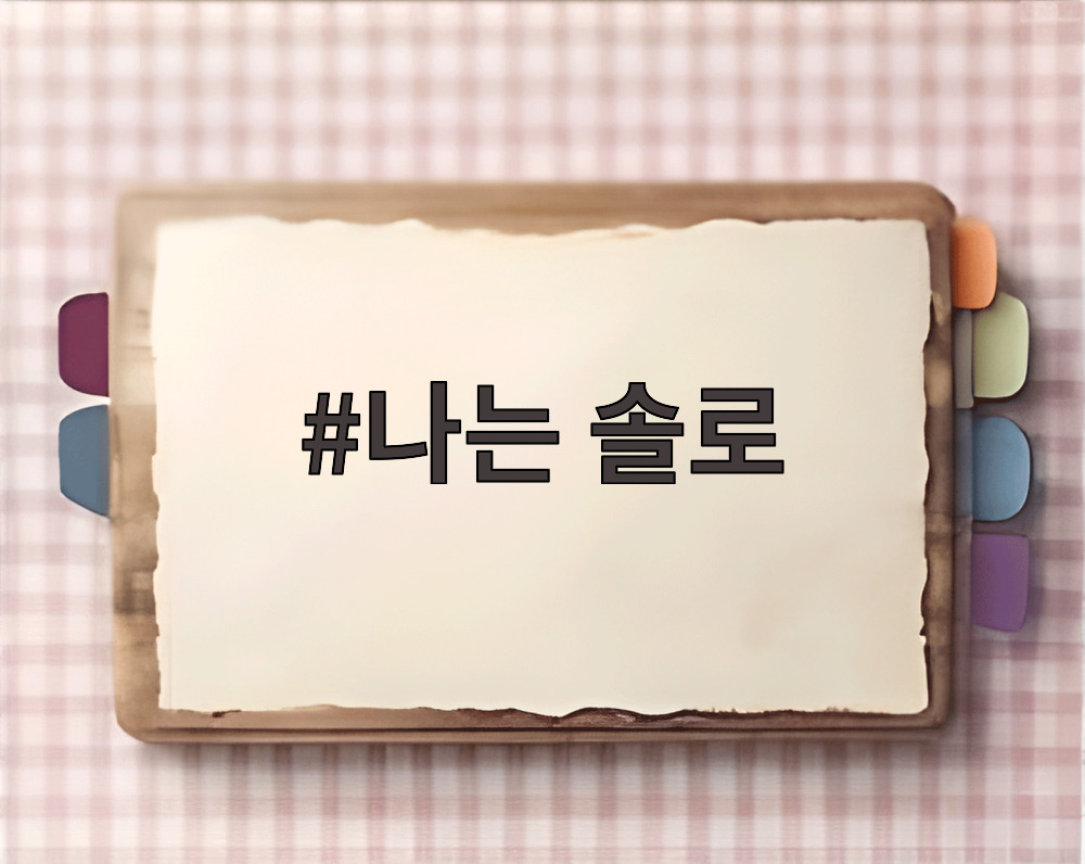 나는 솔로