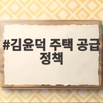 김윤덕 주택 공급 정책