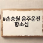 손승원 음주운전 항소심