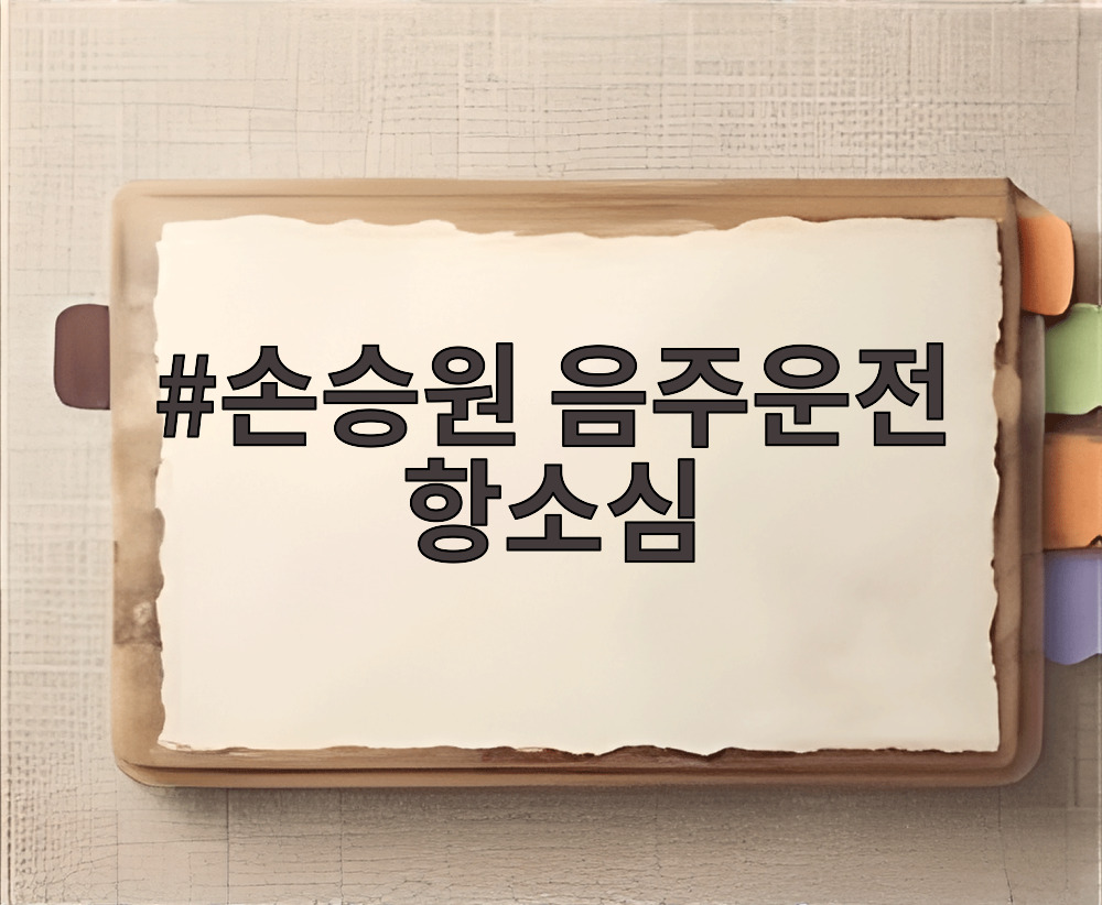손승원 음주운전 항소심