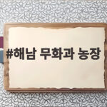 해남 무화과 농장 생과 맛과 보관법 해남 무화과 농장