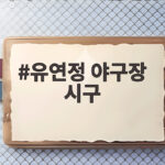 유연정 야구장 시구 첫 단독 마운드 현장 유연정 야구장 시구