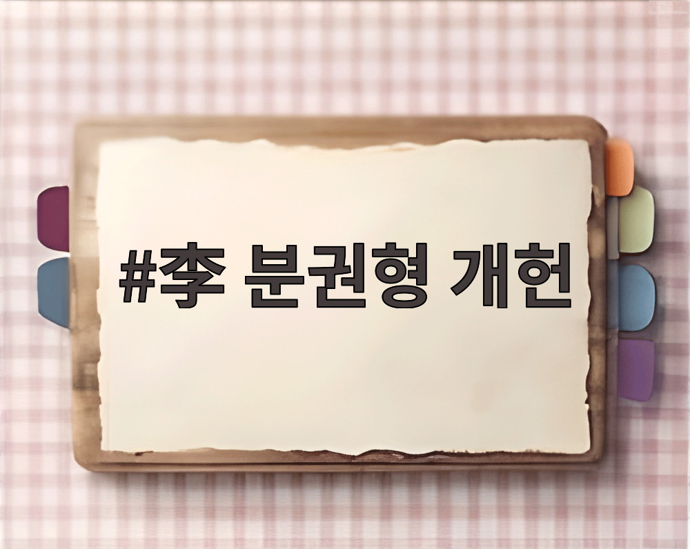 李 분권형 개헌