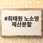 최태원 노소영 재산분할