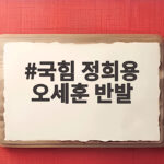 국힘 정희용 오세훈 반발 원내대책회의 파문 정리 국힘 정희용 오세훈 반발