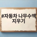 자동차 나무수액 지우기 확실한 방법 자동차 나무수액 지우기