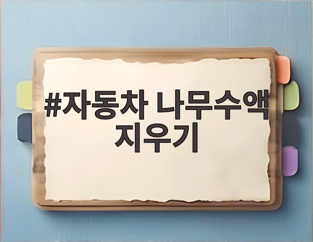 자동차 나무수액 지우기