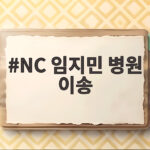 NC 임지민 병원 이송 아찔한 사고 현장과 부상 상태 NC 임지민 병원 이송