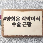 양희은 각막이식 수술 후 근황 회복 이야기 양희은 각막이식 수술 근황