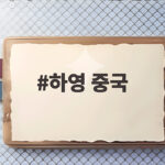 하영 중국 사과문 삭제 논란 총정리 하영 중국