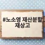 노소영 재산분할 재상고