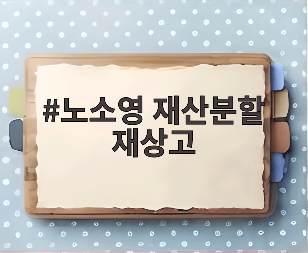 노소영 재산분할 재상고