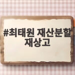 최태원 재산분할 재상고 쟁점과 향후 전망 최태원 재산분할 재상고