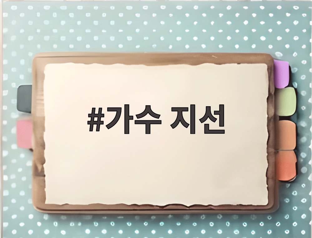 가수 지선