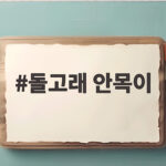 돌고래 안목이 구조부터 방류까지 총정리 돌고래 안목이