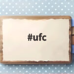UFC 최다 연승 신기록 마카체프가 세운 새로운 역사 ufc