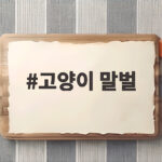 고양이 말벌이라는 표현 아시나요 고양이 말벌