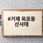 거제 옥포동 산사태로 아파트 1층 매몰, 사망 사고와 대피 요령 거제 옥포동 산사태