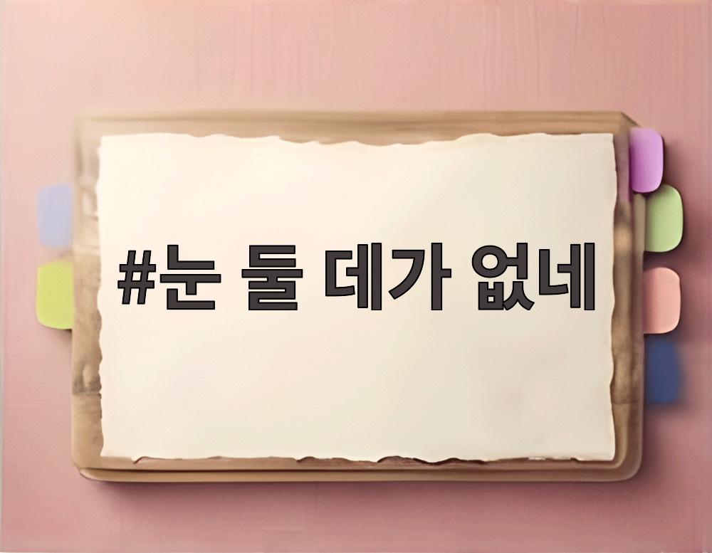 눈 둘 데가 없네