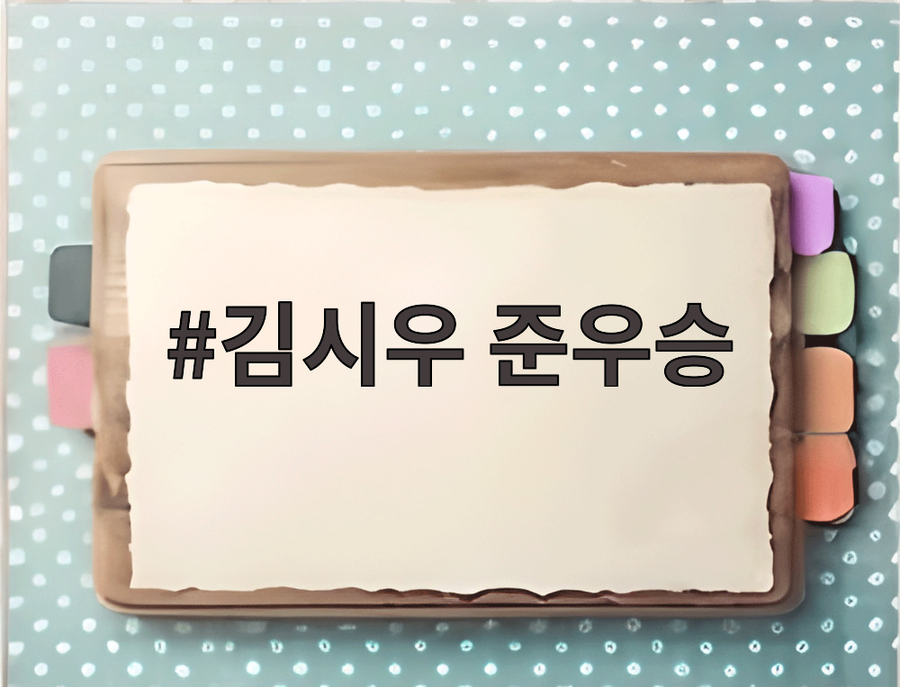 김시우 준우승