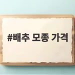 김장배추 모종 가격 비교하고 준비하세요 배추 모종 가격