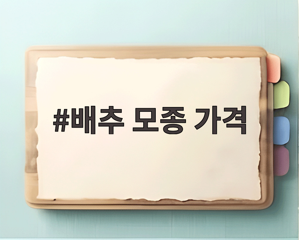 배추 모종 가격