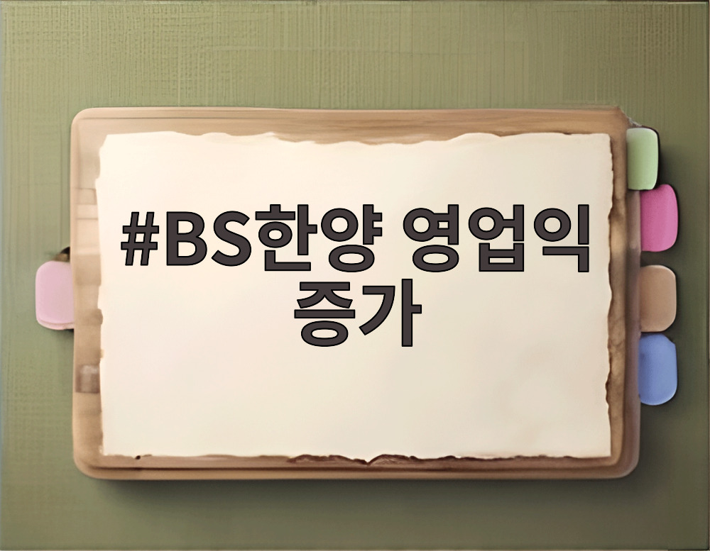 BS한양 영업익 증가