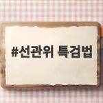 선관위 특검법 국회 통과 의미와 향후 수사 전망 선관위 특검법