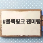 블랙핑크 팬미팅