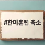 한미훈련 축소로 본 한미동맹 미래 전망 한미훈련 축소
