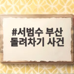 서범수 부산 돌려차기 사건 막말 논란과 피해자 호소 서범수 부산 돌려차기 사건