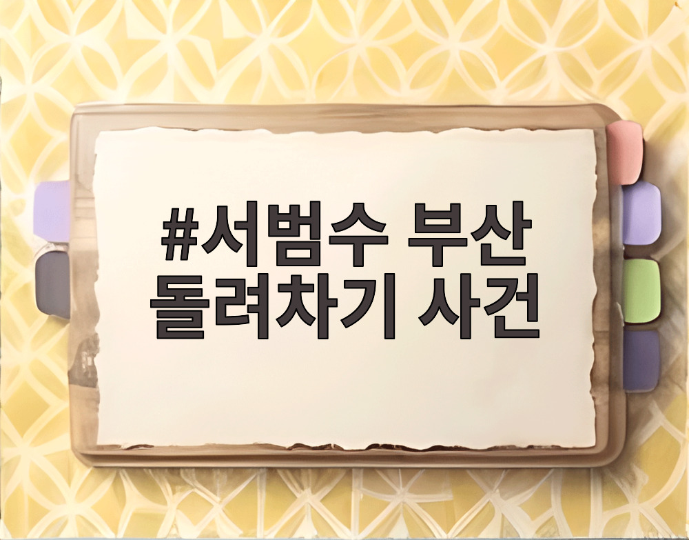 서범수 부산 돌려차기 사건