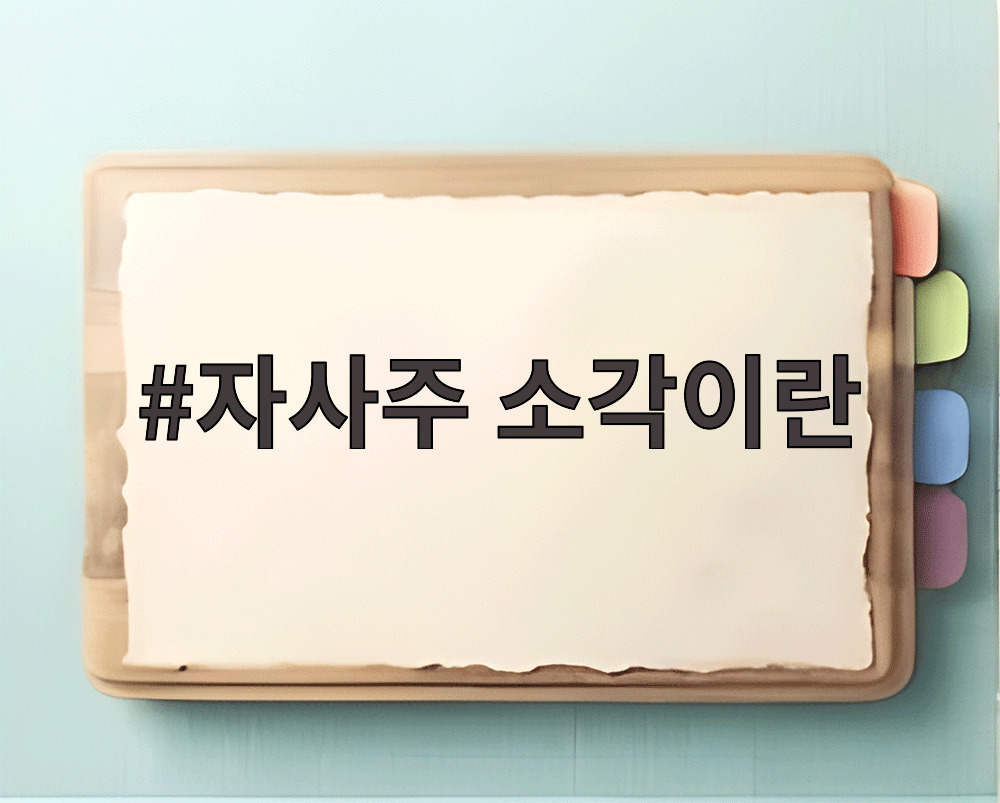 자사주 소각이란