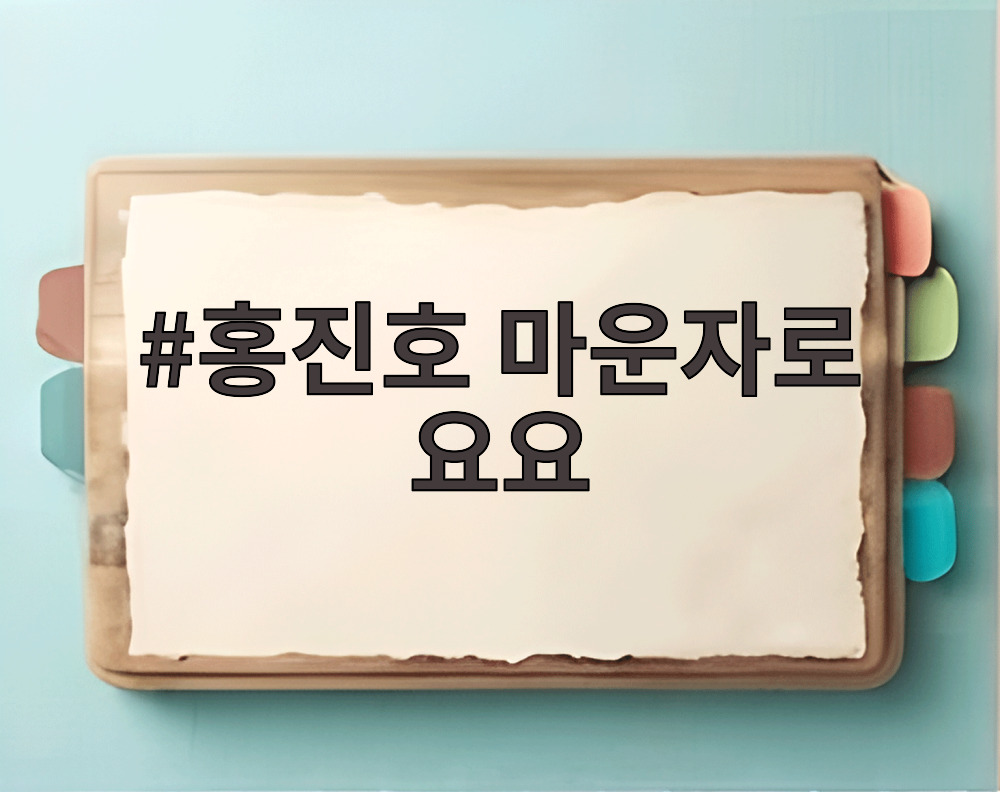 홍진호 마운자로 요요