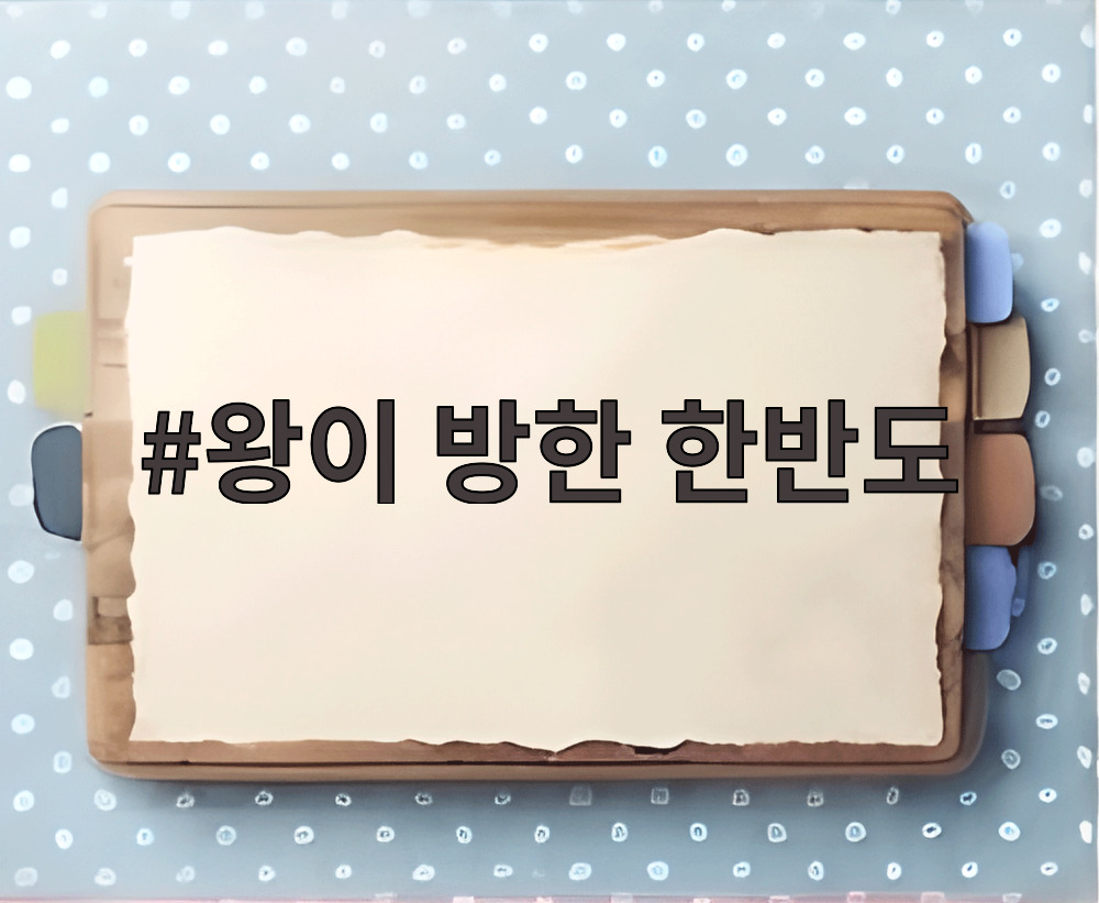 왕이 방한 한반도