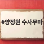 양정원 수사무마 전말과 수사 공백의 교훈 양정원 수사무마