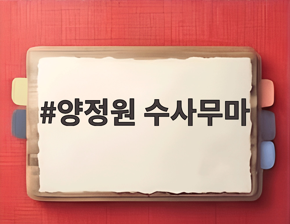 양정원 수사무마