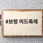 보령 머드축제 2026 핵심 일정과 즐길 거리 총정리 보령 머드축제