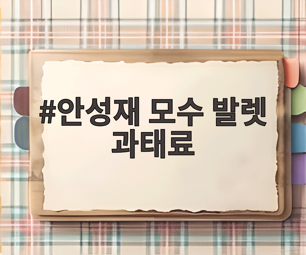 안성재 모수 발렛 과태료